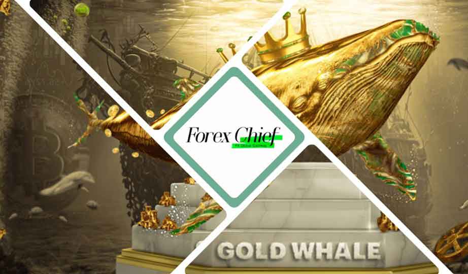 forexchief GOLD WHALE Contest